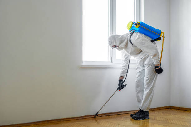 Best Pest Control Treatment  in Talluh, LA