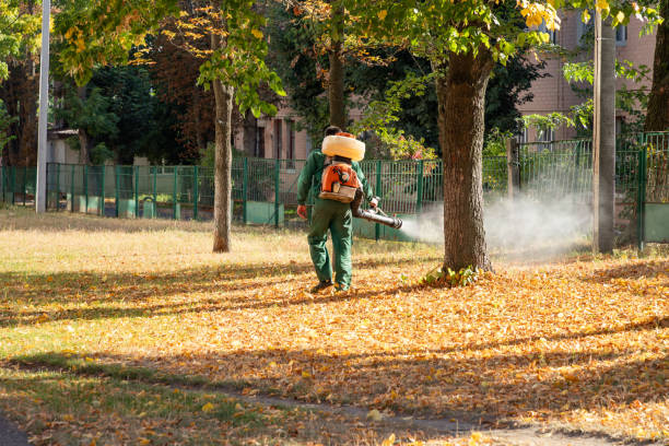 Best Pest Control Near Me  in Talluh, LA